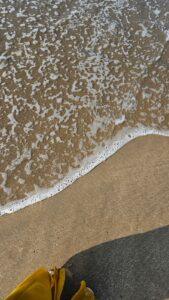 north goa vs south goa -beaches