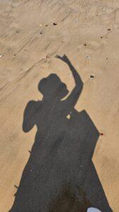 north goa vs south goa -beaches